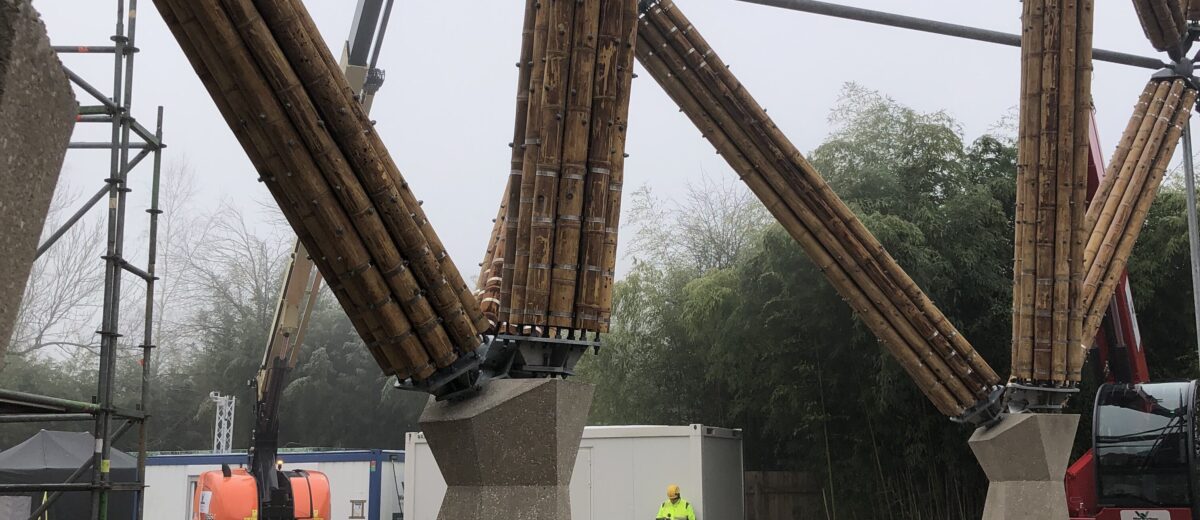 PLANCKENDAEL - inkom gebouw en bamboe toren